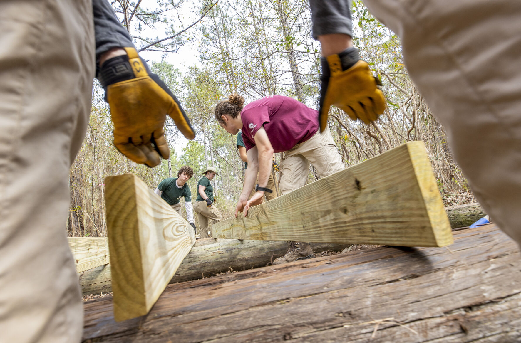 Palmetto Trail_1.jpg